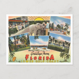 Hälsning från Florida, nedre bukt kusten Travel Vykort