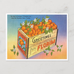 Hälsning från Florida Orange Vintage resor Vykort