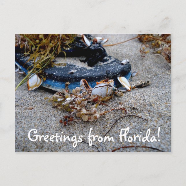 Hälsning från Florida Postcard Vykort (Framsida)