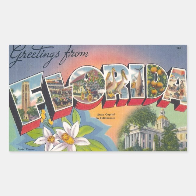 Hälsning från FLORIDA Rektangulärt Klistermärke (Framsida)