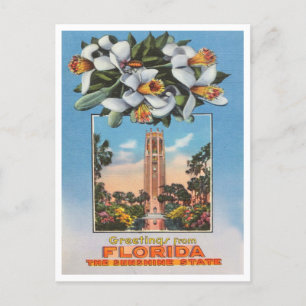 Hälsning från Florida, Sunshine State Travel Vykort