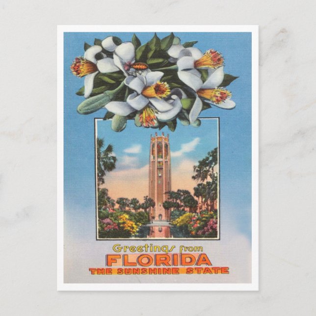 Hälsning från Florida, Sunshine State Travel Vykort (Framsida)
