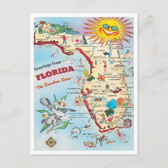 Hälsning från Florida, Sunshine State Travel Vykort (Framsida)