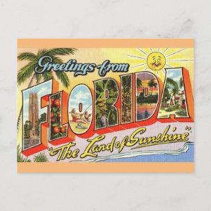 Hälsning från Florida Travel Postcard Vykort