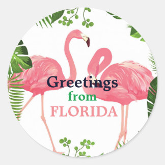 Hälsning från Florida, tropisk design Runt Klistermärke