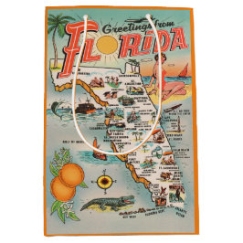 Hälsning från Florida vintage resor karta