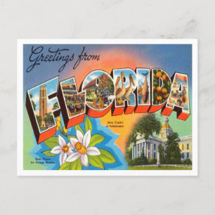 Hälsning från Florida Vintage resor Vykort