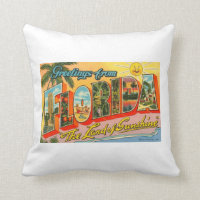 Hälsning från Florida Vintage vykort