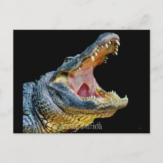 Hälsning från Florida Vykort