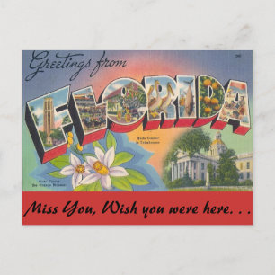 Hälsning från FLORIDA Vykort