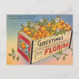 Hälsning från Florida! Vykort