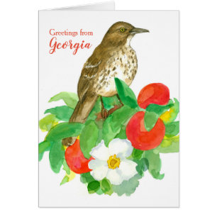 Hälsning från Georgia Brown Thrasher Blank Hälsningskort