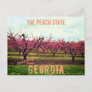 Hälsning från Georgia Peach Orchard Vykort