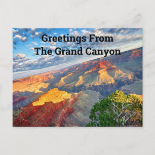 Hälsning från Grand Canyon Vykort