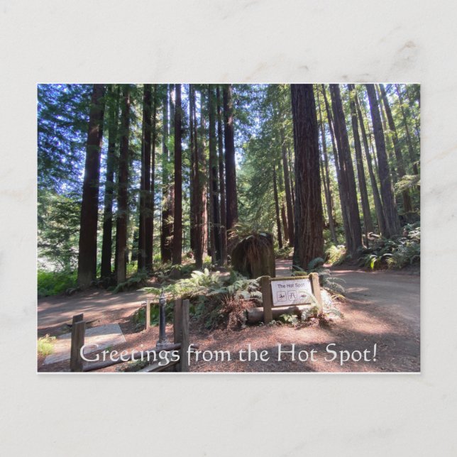 Hälsning från Hett Hett Spot! Vykort (Framsida)