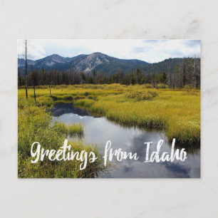 Hälsning från Idaho Scenia Photo Postcard Vykort