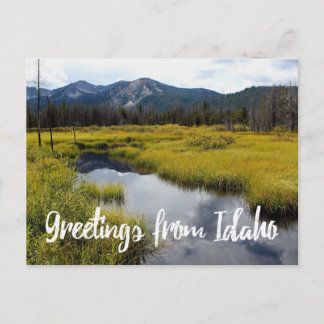 Hälsning från Idaho Scenia Photo Postcard Vykort