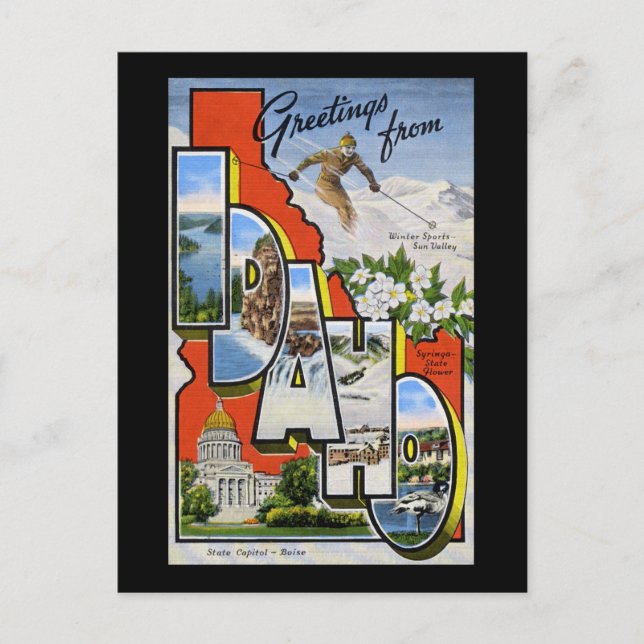 Hälsning från Idaho Vykort (Framsida)