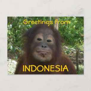 Hälsning från INDONESIA Photo Vykort