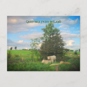 Hälsning från Irland Fotografier Vykort