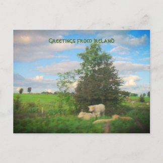 Hälsning från Irland Fotografier Vykort