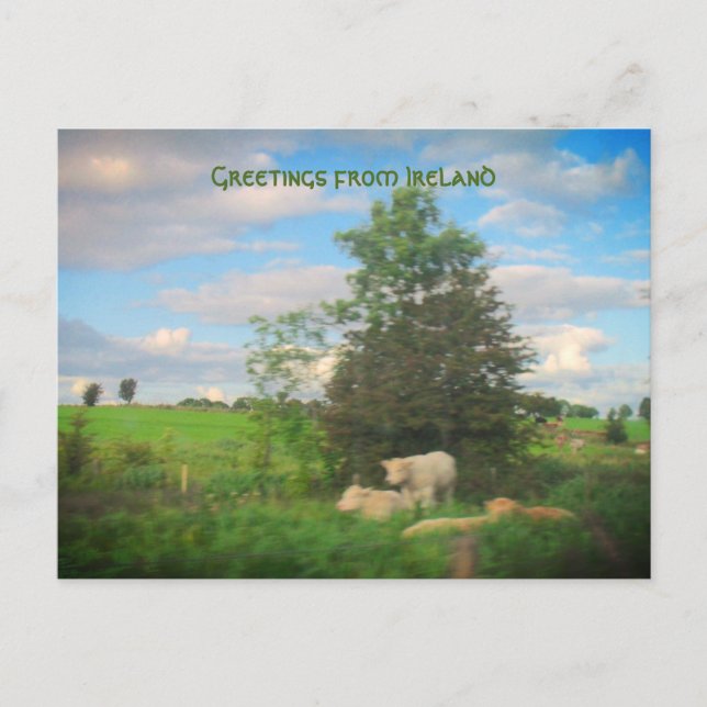 Hälsning från Irland Fotografier Vykort (Framsida)