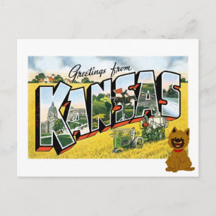 Hälsning från Kansas! Cairn Terrier Toto Vykort