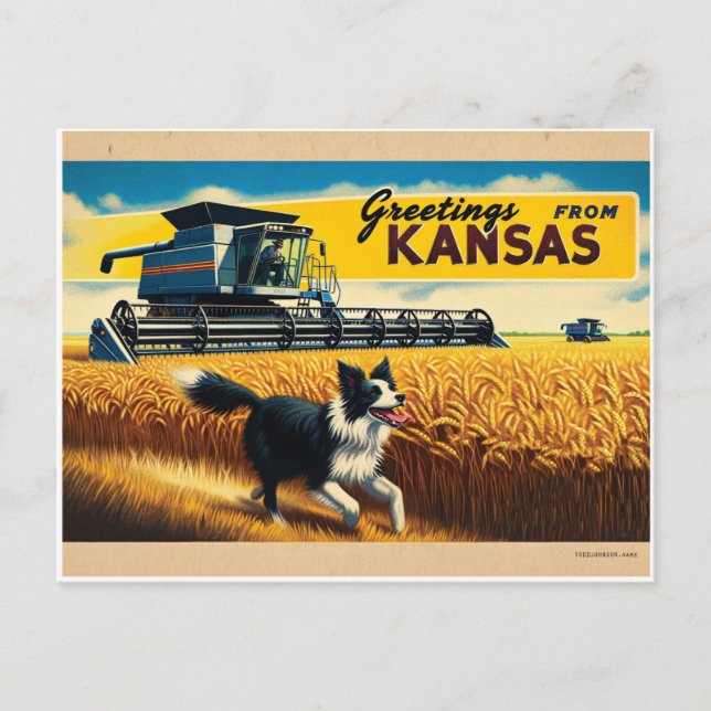Hälsning från Kansas vete skördemaskin Border Coll Vykort (Framsida)