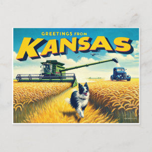 Hälsning från Kansas Wheat Combine Gräns Collie Vykort