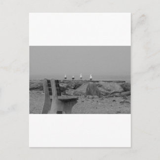 Hälsning från Long Island, NY Vykort