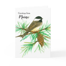 Hälsning från Maine Black Caps Chickadee