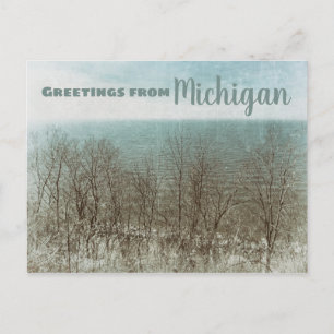 Hälsning från Michigan Vykort