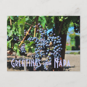 Hälsning från Napa Valley California Vykort