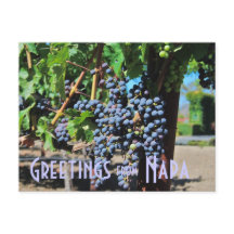 Hälsning från Napa Valley California