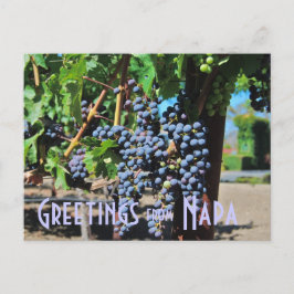 Hälsning från Napa Valley California Vykort