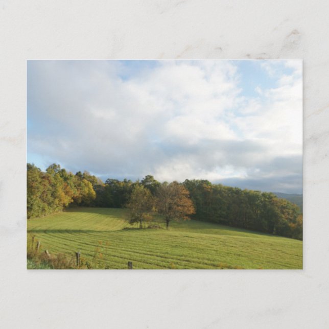 Hälsning från NC Blue Ridge Mountains! Vykort (Framsida)