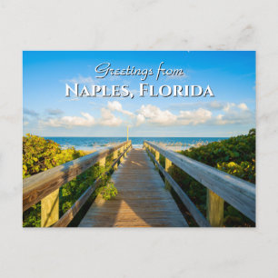 Hälsning från Neapel Florida Beach Postcard Vykort