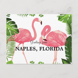 Hälsning från Neapel, Florida-vykort Vykort
