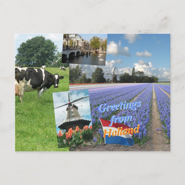 Hälsning från Nederländerna Vykort (Framsida)