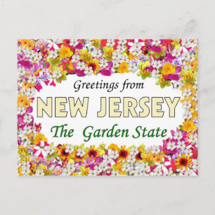 Hälsning från New jersey Vykort