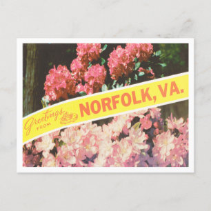 Hälsning från Norfolk, Virginia Vintage resor Vykort