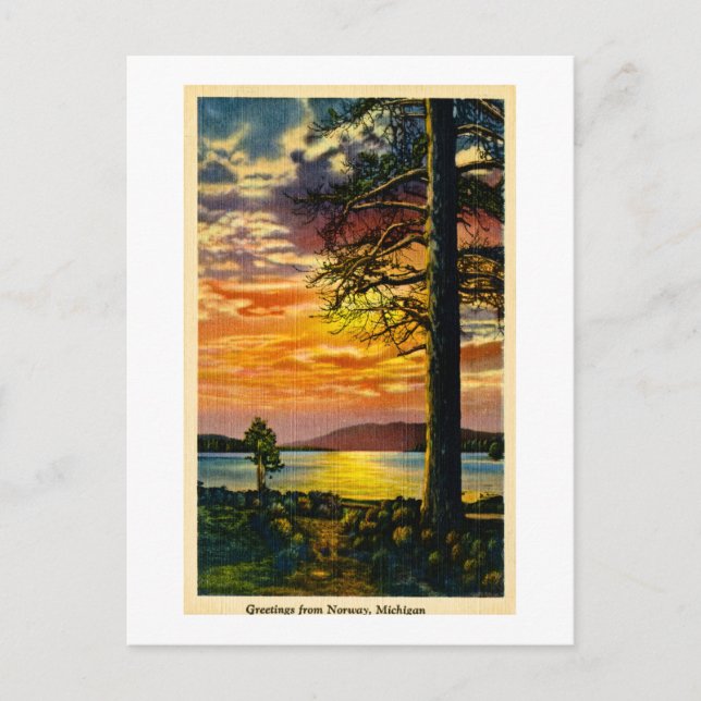 Hälsning från Norge, Michigan - Vintage Vykort (Framsida)
