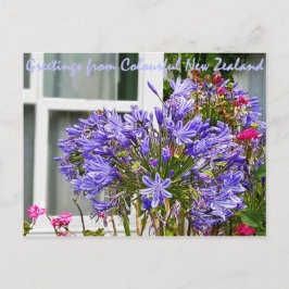 Hälsning från Nya Zeeland Vykort