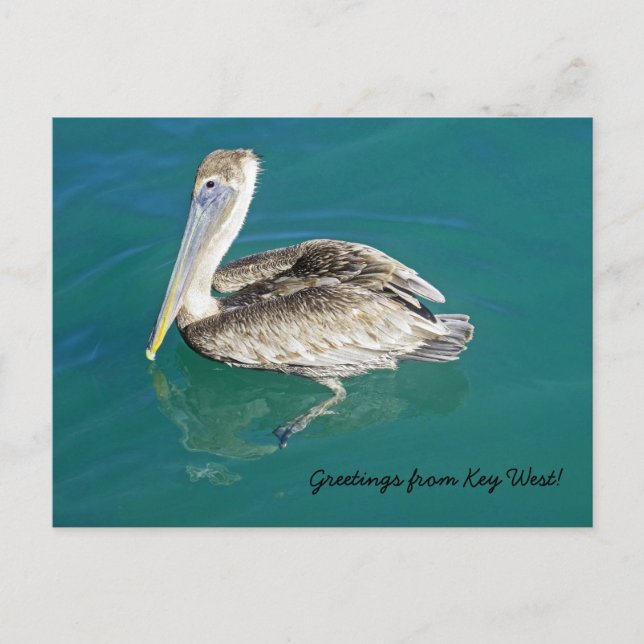 Hälsning från Nyckel Väster vykort (Framsida)