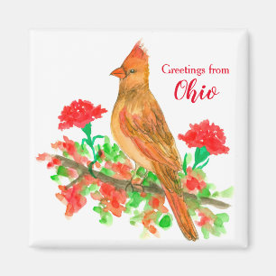 Hälsning från Ohio Cardinal State Bird Magnet