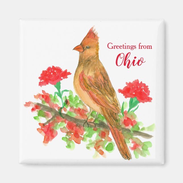 Hälsning från Ohio Cardinal State Bird Magnet (Framsidan)