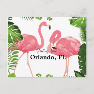 Hälsning från Orlando, FL-rosa flamingos Vykort