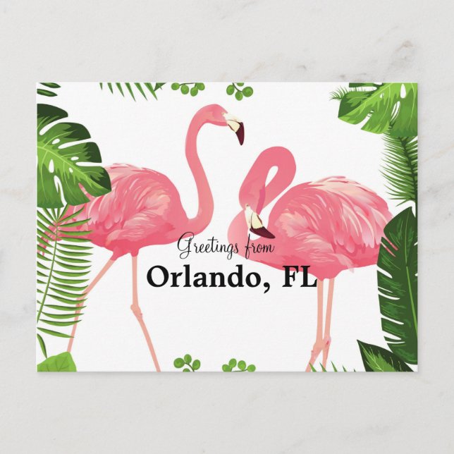 Hälsning från Orlando, FL-rosa flamingos Vykort (Framsida)