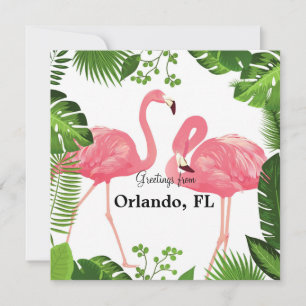 Hälsning från Orlando, Florida