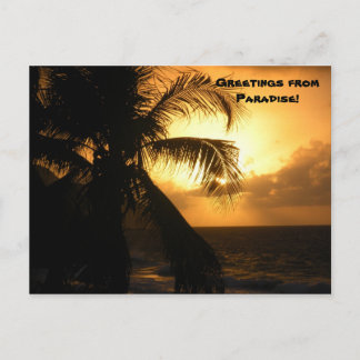 Hälsning från Paradise Vykort
